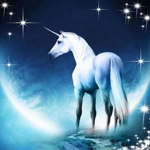 Meet your Posher, Mandi jane